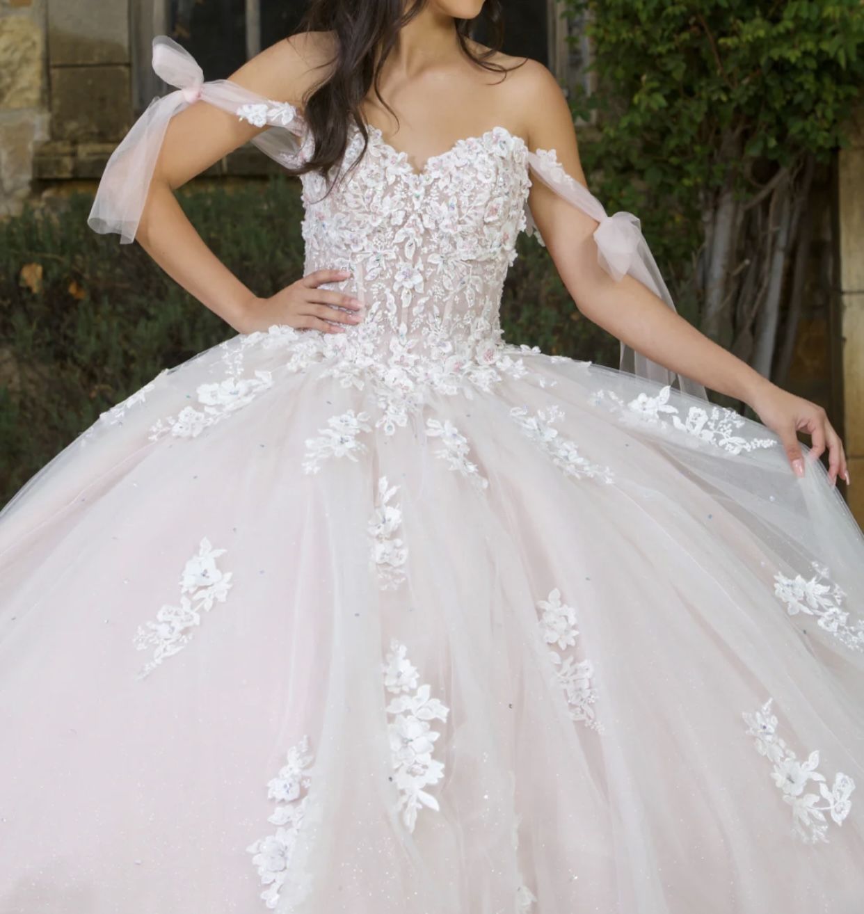 Beautiful XV Dress!