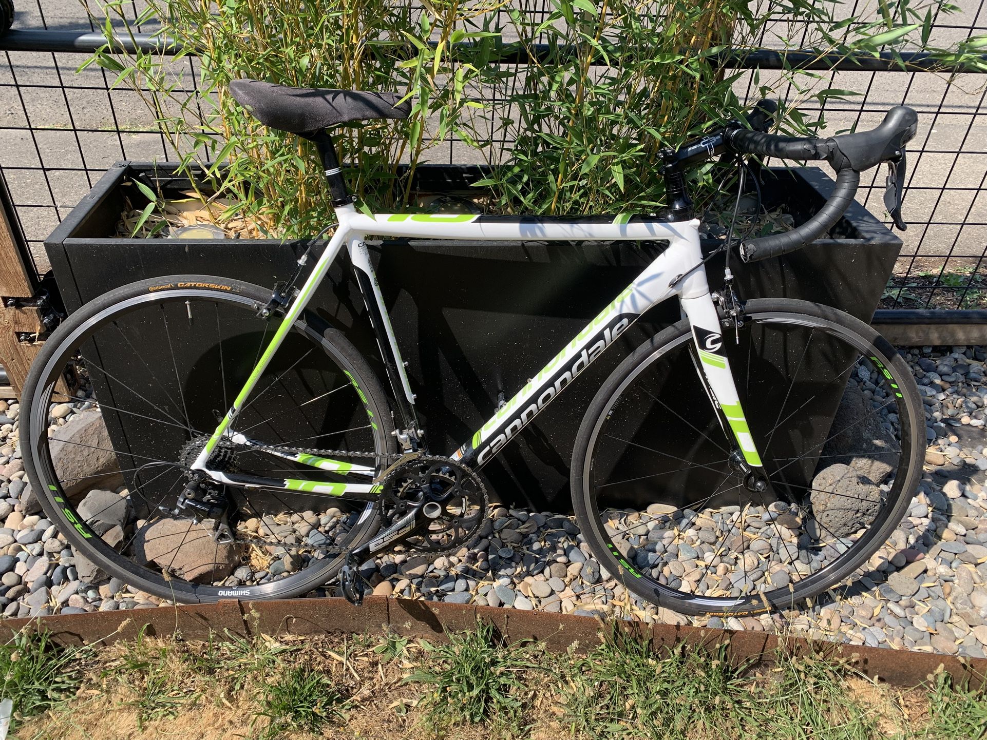 Cannondale Caad En14781 Cannondale Cannondale キャノンデール CAAD8 