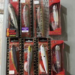 Topwater Baits