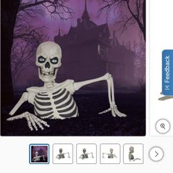 Costco Ground Breaking Skeleton - Used For 3 Months