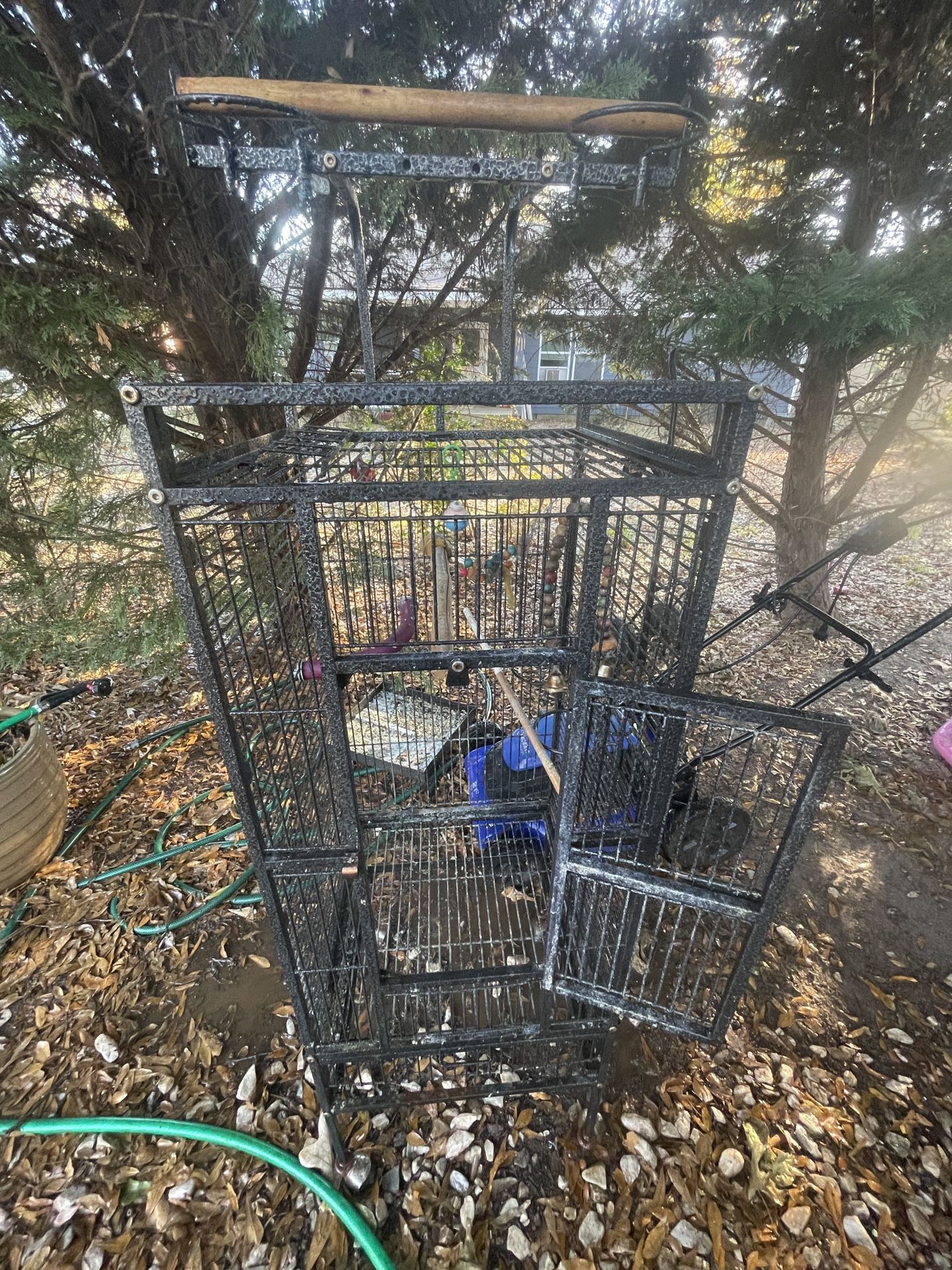 bird cage and supply’s
