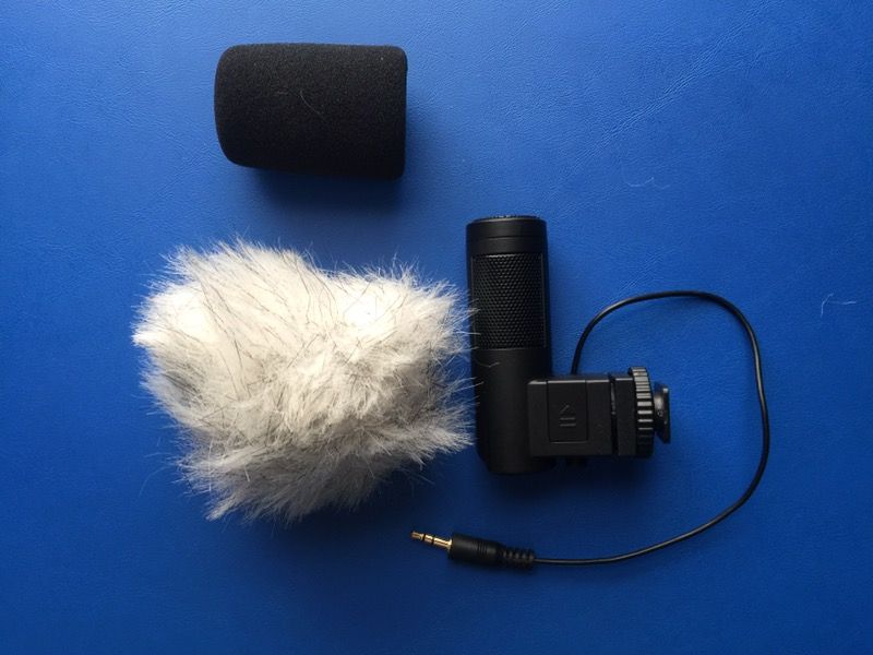 Microphone