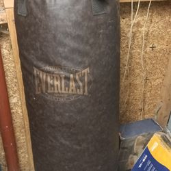 Everlast Heavy Bag with Accessories 
