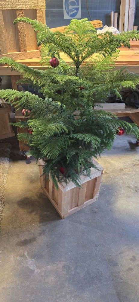 Custom Built Planter Boxes 