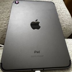 iPad mini 6 unlocked