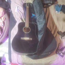Fender Guitar And Soft Case
