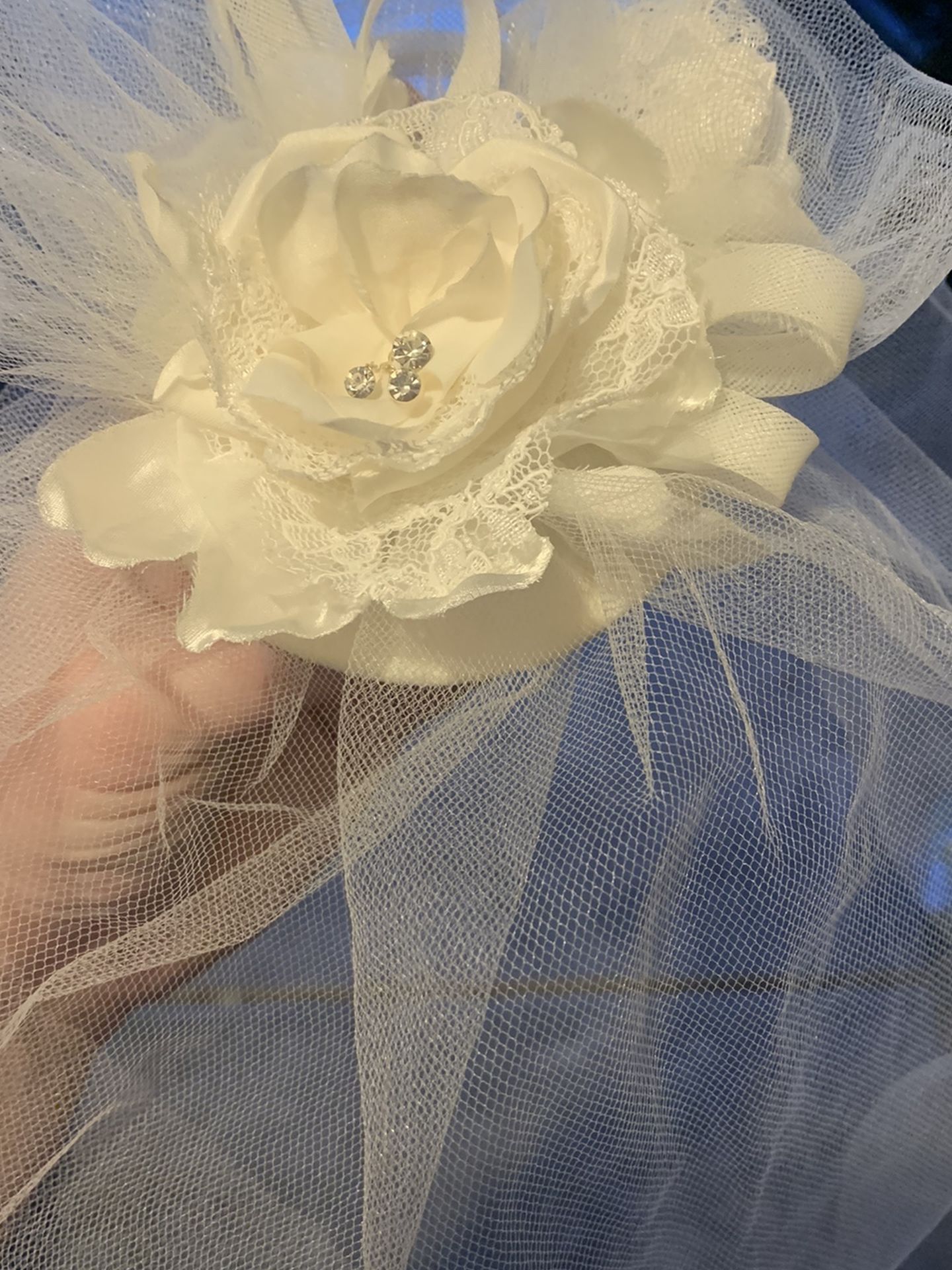 Birdcage Veil From David’s Bridal
