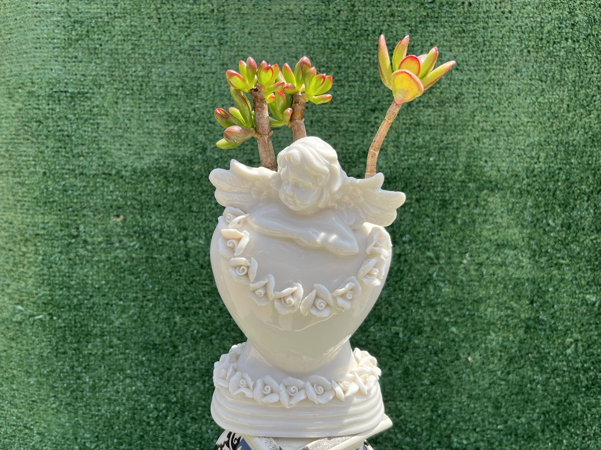 Succulents In A Beautiful Heart Cherub