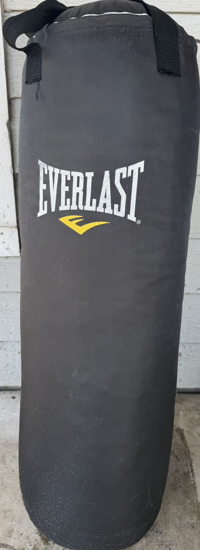 Everlast Punching Bag