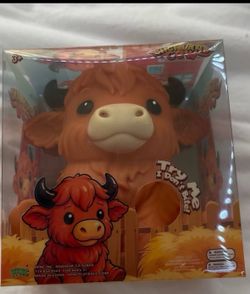 Viral squishy cow