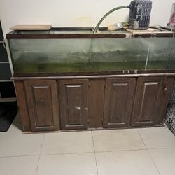 100 Gallon Fish Tank - No Leaks