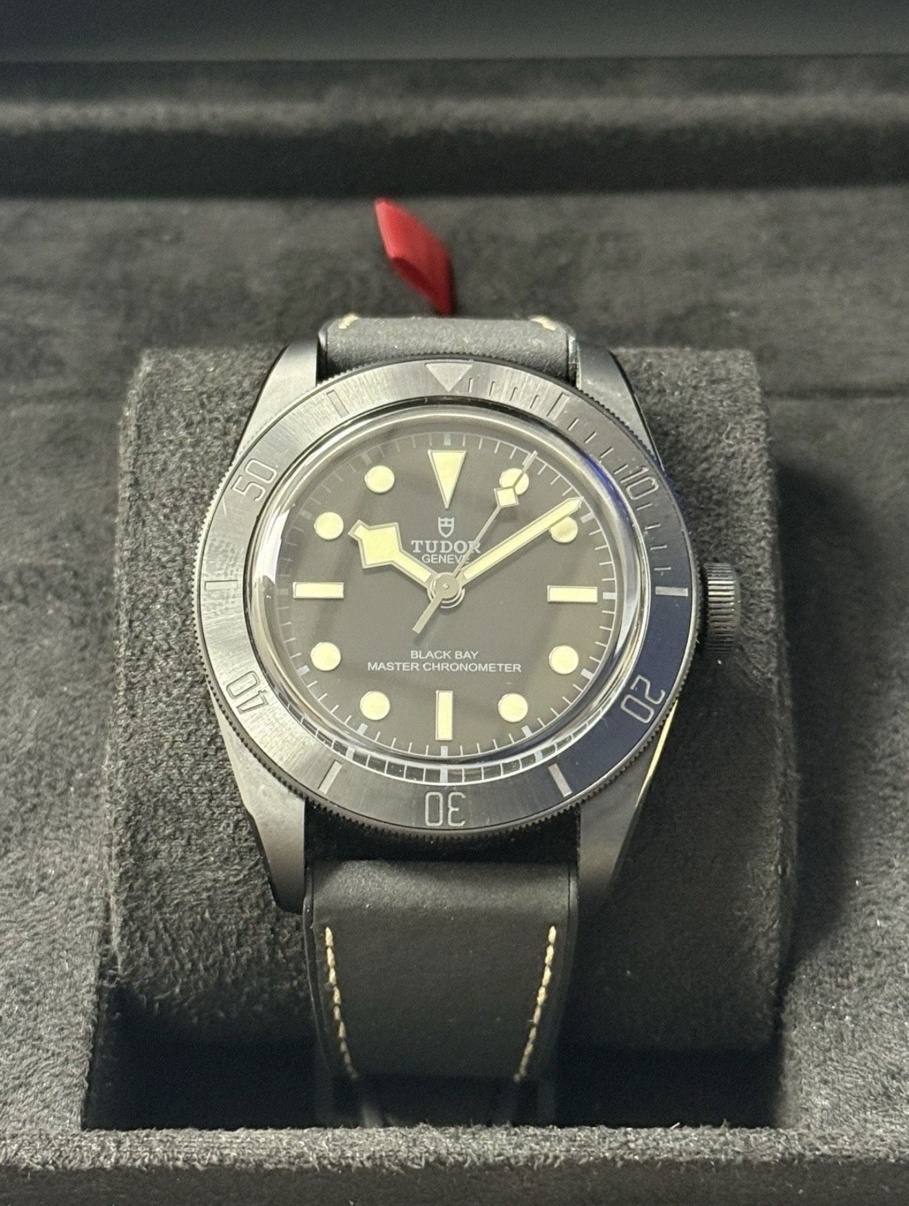 TUDOR Black Bay 79210CNU-0001 Watch
