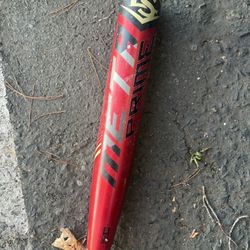 Baseball Bat
