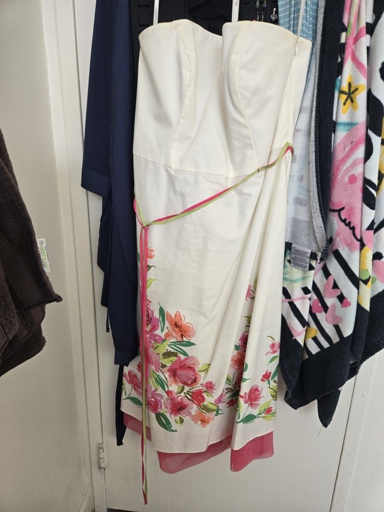 David's Bridal Brides Maid Dress