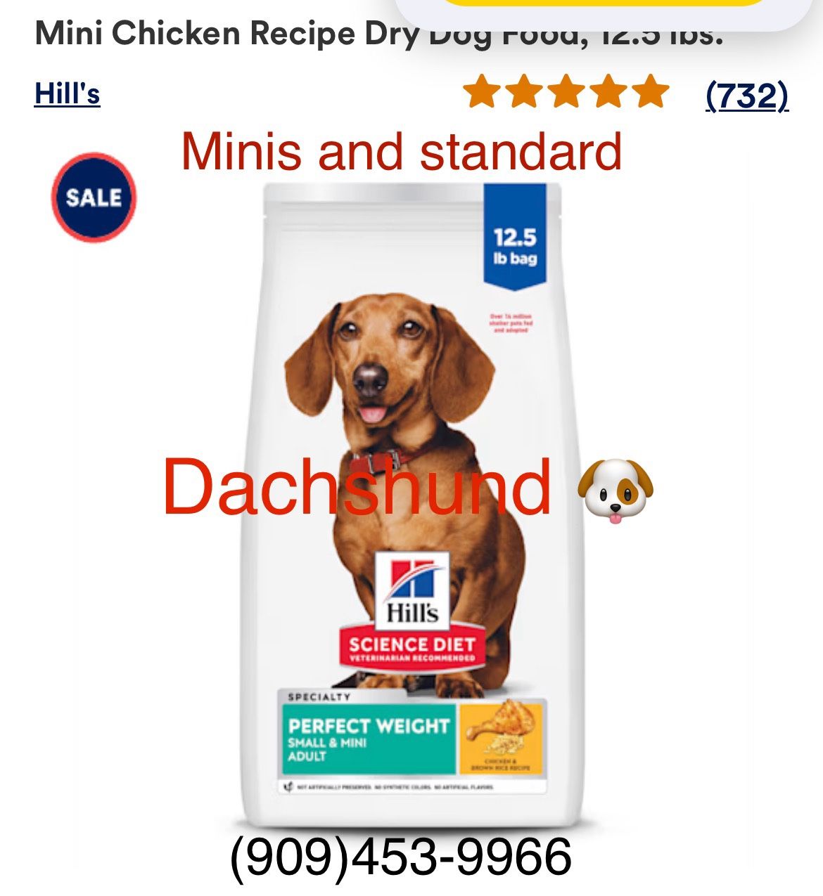 Dachshund Puppies Food