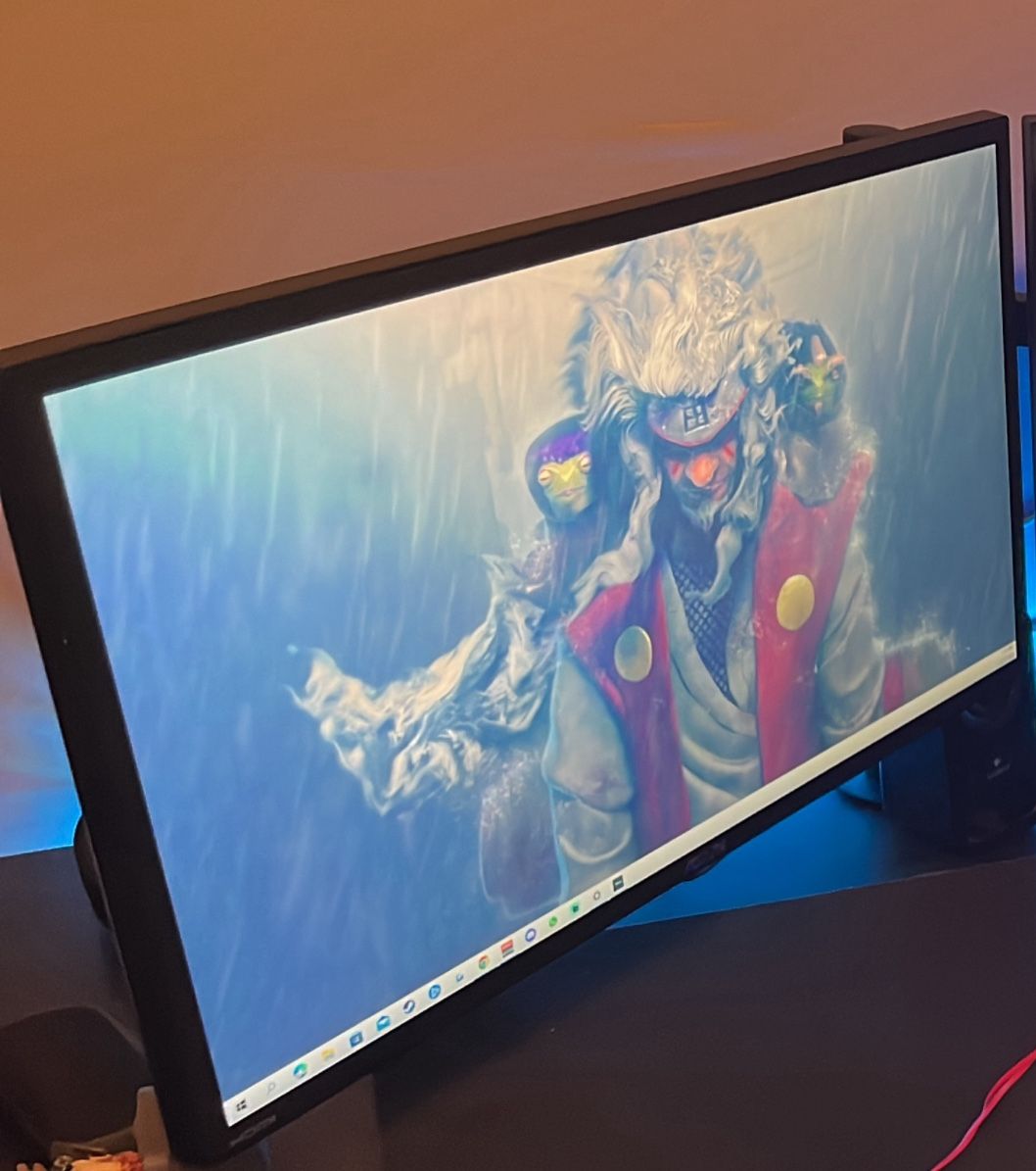Gaming monitor