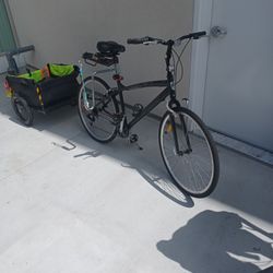 Infinity Dog Grocery Bike
