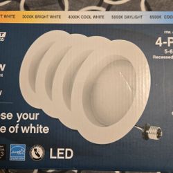 4PK 5-6 INC FLOOD DIMMABLE LIGHTS 