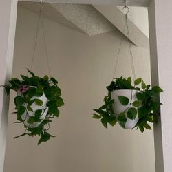 Hanging Fake Plants