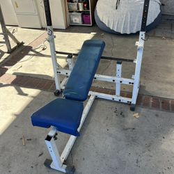 Workout Bench