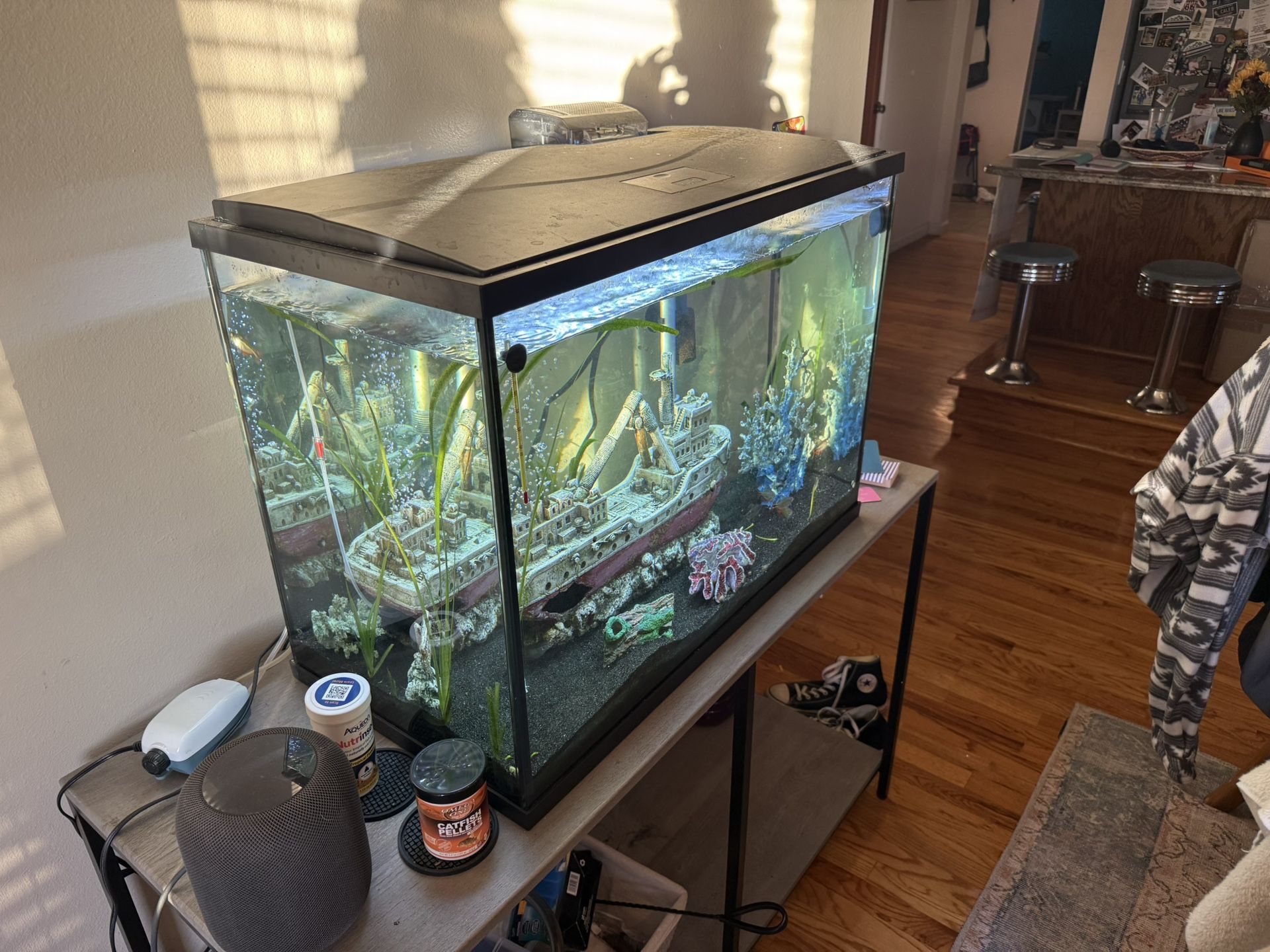 37 Gallon Fish Tank