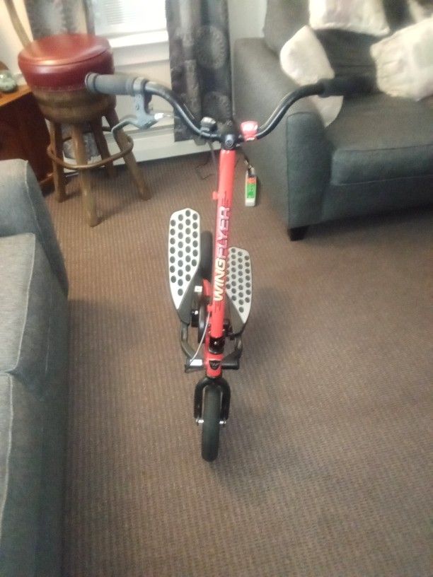 WING FLYER BICYCLE