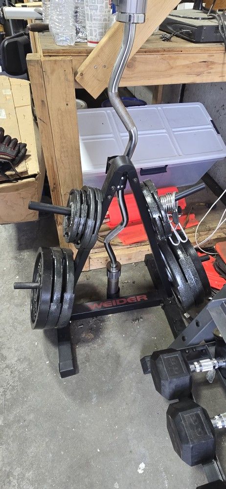 Olympic Weights And Stand
