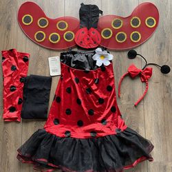 Halloween& Ladybug costume Size 12-14