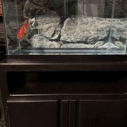 Fish Tank