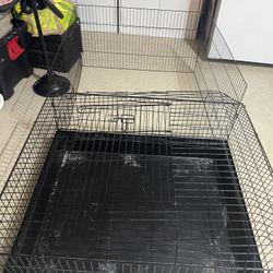 FREE/Animals Cage