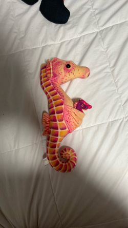 Wild republic seahorse