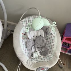 Fisher Price Swing And Bouncer