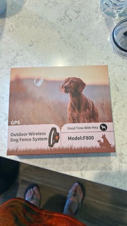 Good time with pets outdoor wireless dog fence
