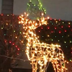 Lighted Reindeer Christmas Lights - Indoor/Outdoor Use - Easy Folding 3D Setup - Weather Resistant Wire Frame - Outdoor Christmas Yard Decorations    