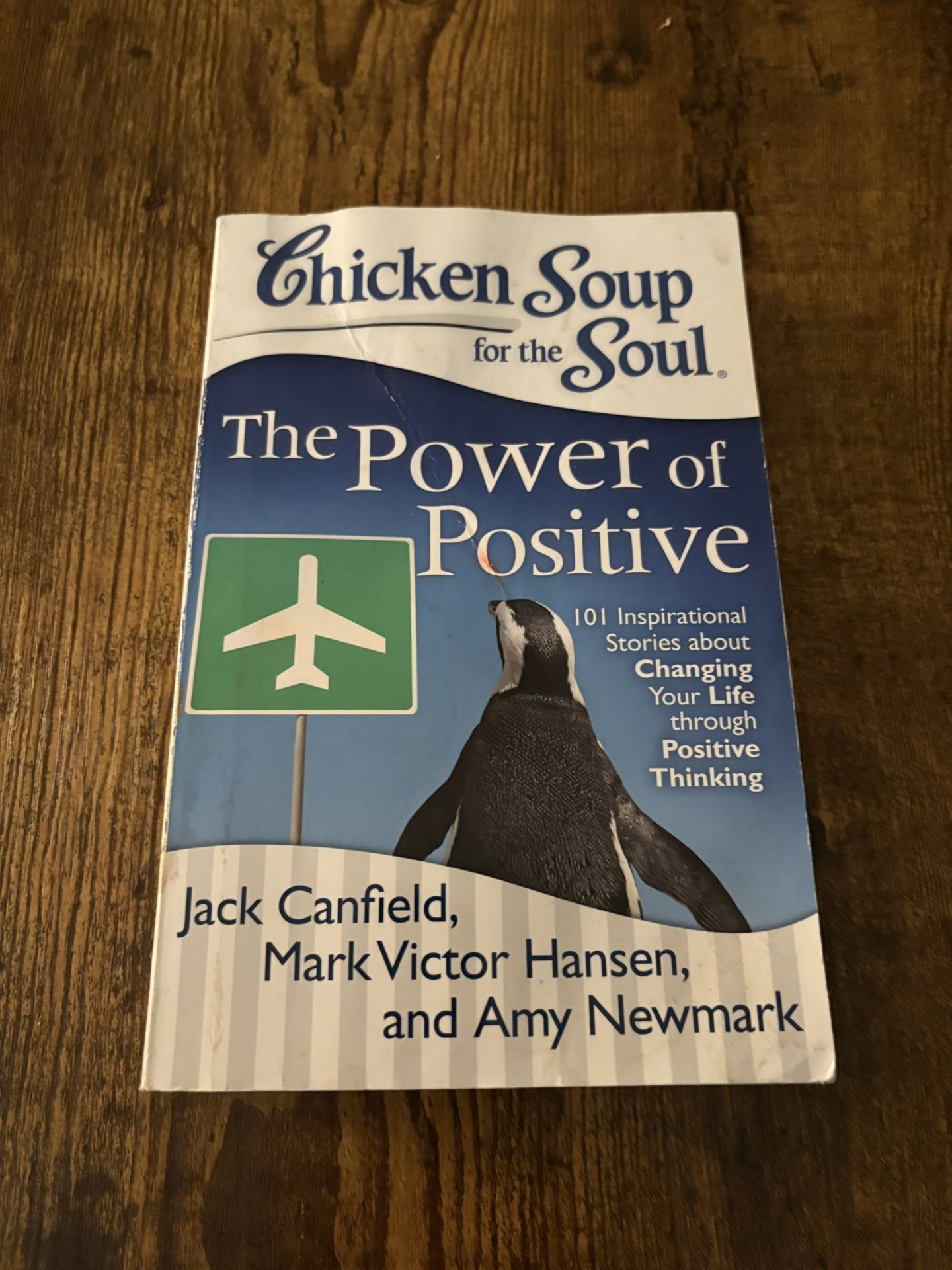 Chicken Soup For The Soup The Power of positive