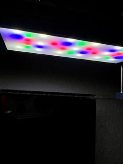 UNS 20C rimless aquarium with Twinstar RGB light