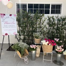 Flower Bar