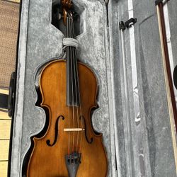 Viola 