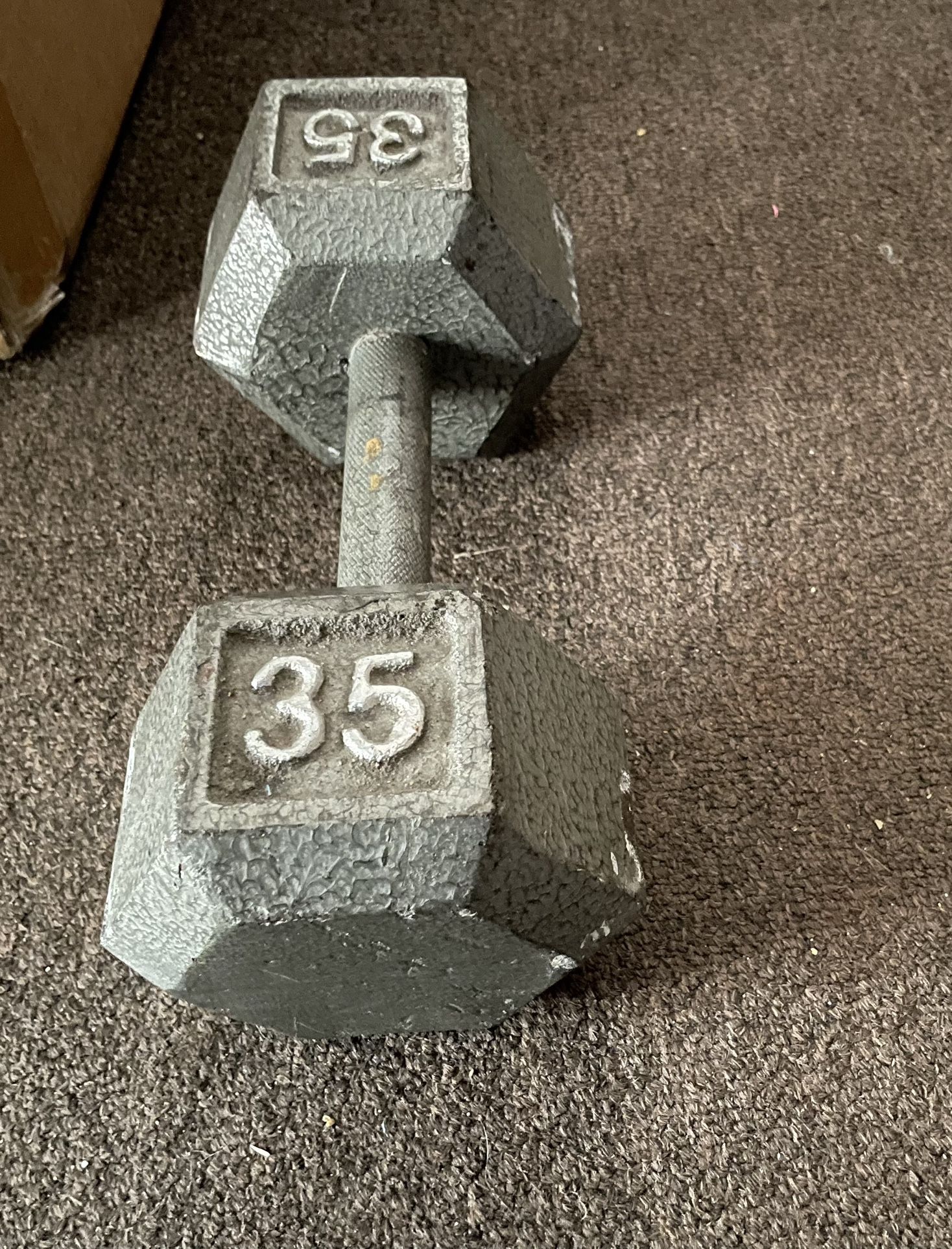 35 Lb Cap Dumbbell 