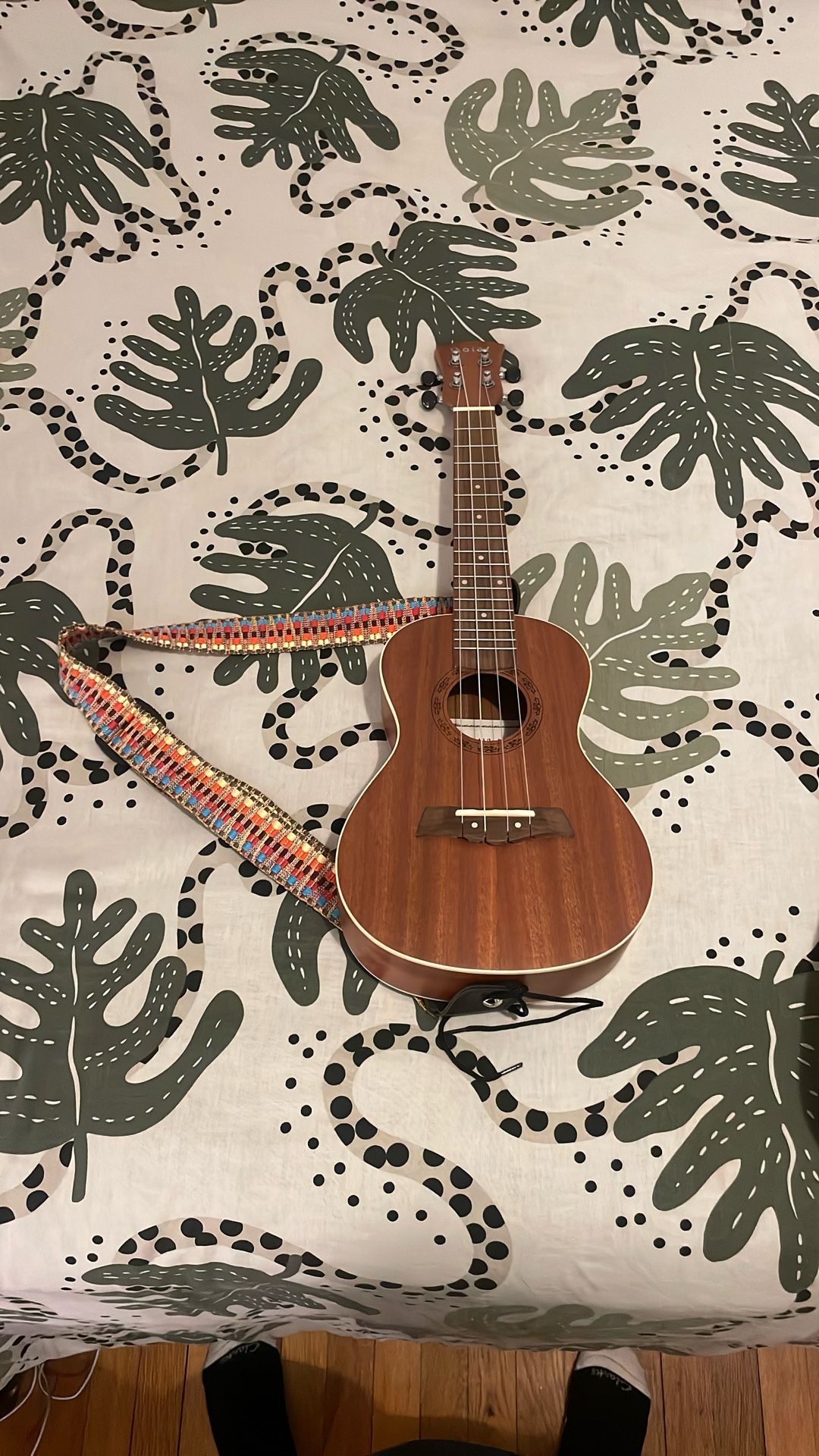 Hola Ukulele