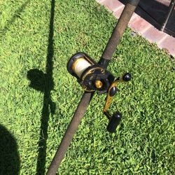 Quantum Gold Blue Runner 8’ 30-60lb Jig Fishing Stick With Daiwa Sealine-30SHV SALTWATER Reel.