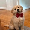 Guide Mason