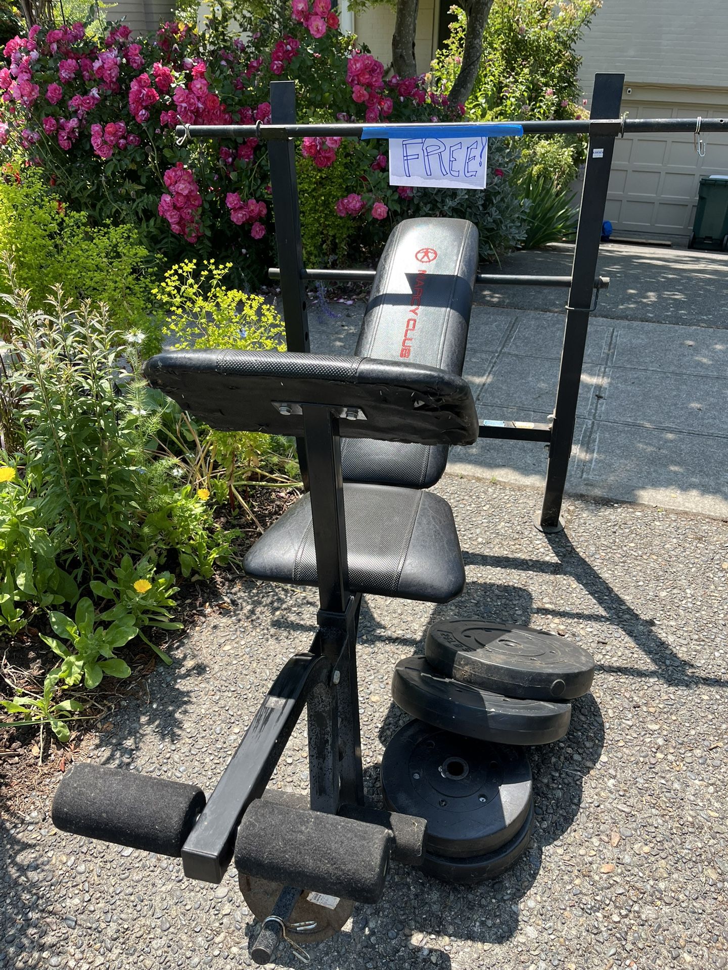 Free Weight Workout Bench – free to the first arrival