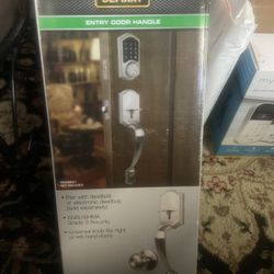 Brand New Defiant Entry Door Handle 