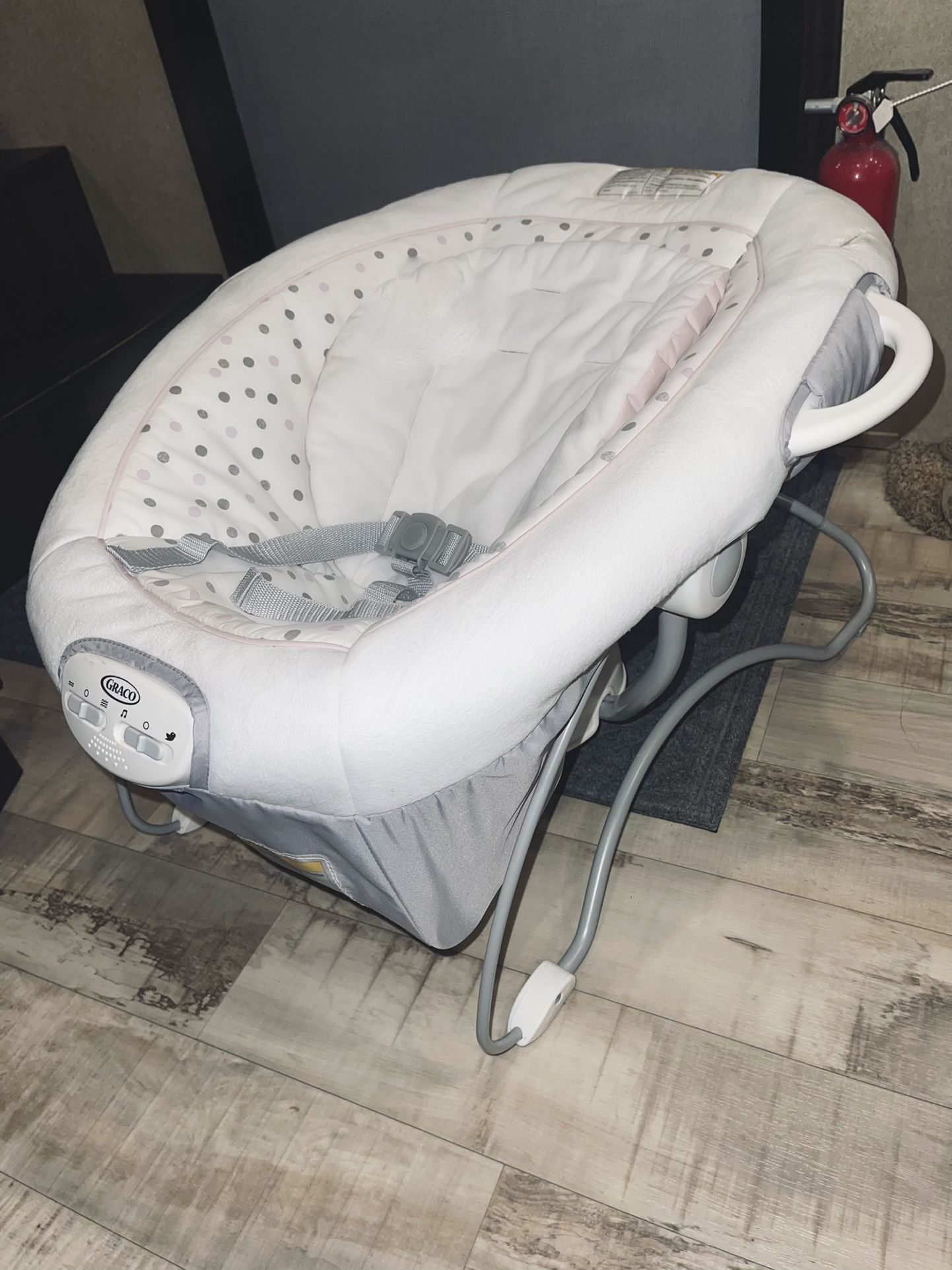Graco Camila Swing & Bouncer