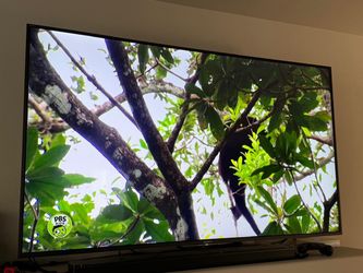 Sony Bravia XBR 65inch (2016)