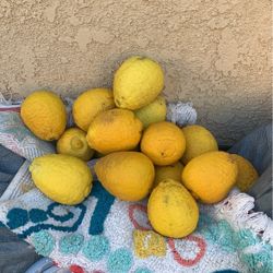 Lemons 