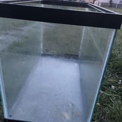 Fish Tank 