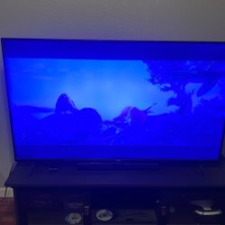 65” Vizio T.V.