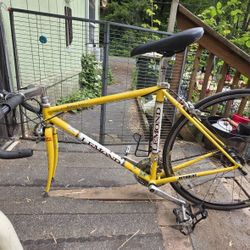 Lemond Bike